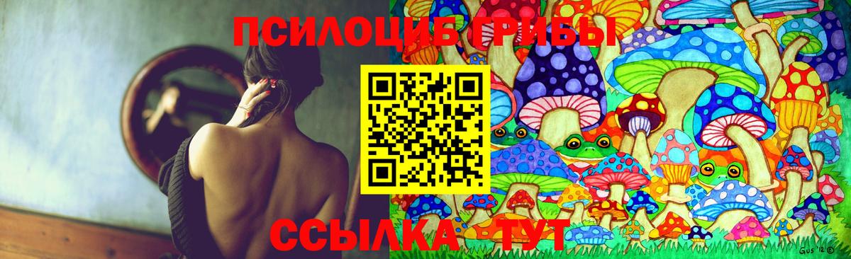 Псилоцибиновые грибы GOLDEN TEACHER Ставрополь